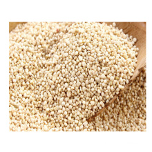 High protein white organic quinoa bulk quinoa for sale